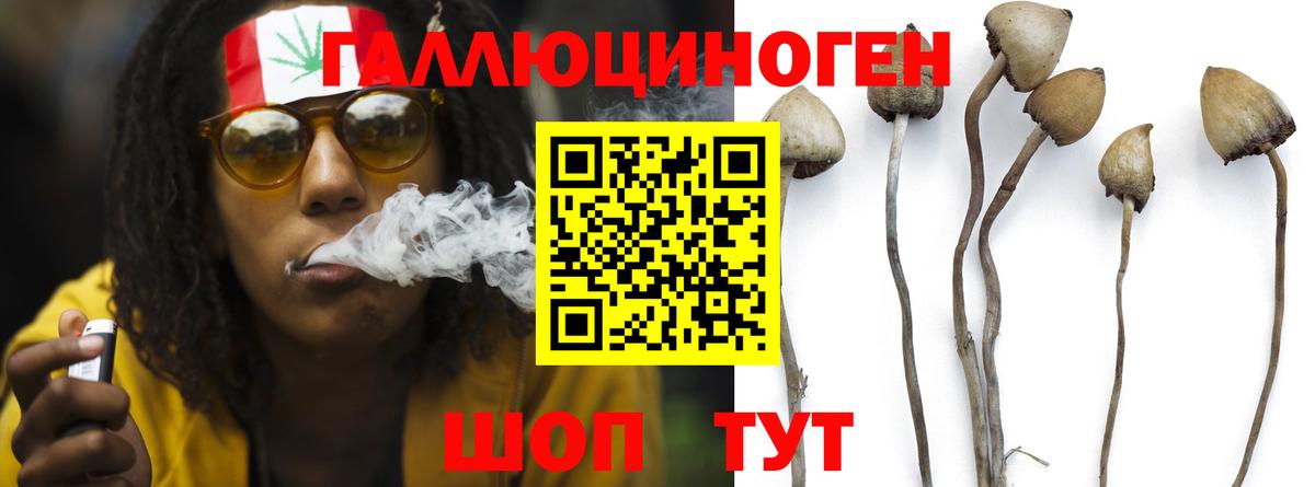 Ростов Великий  Псилоцибиновые грибы Psilocybine cubensis  Вход с VPN 